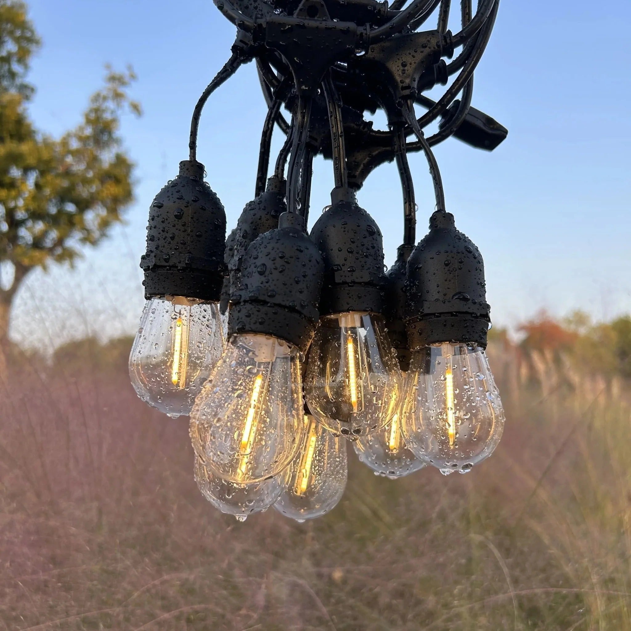 Garden Light